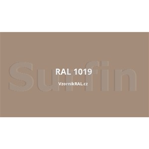 CA RAL1019